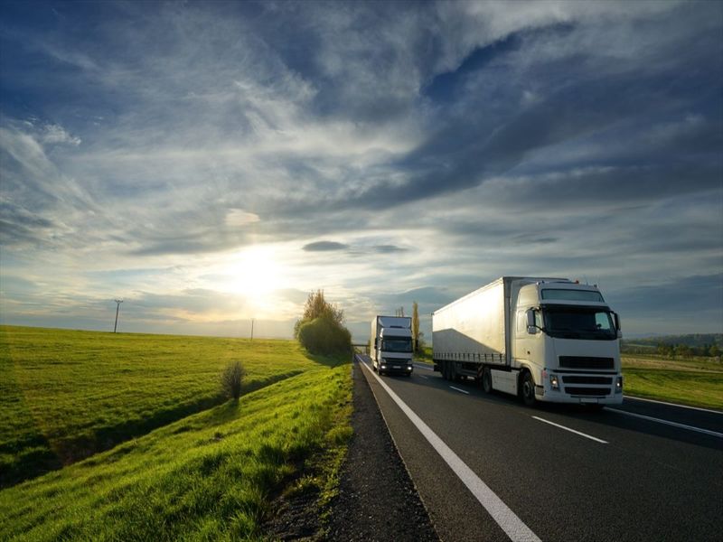 Management and logistics of transport fleets: new models